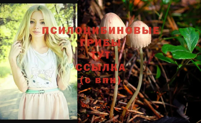 Галлюциногенные грибы Magic Shrooms  Балей 